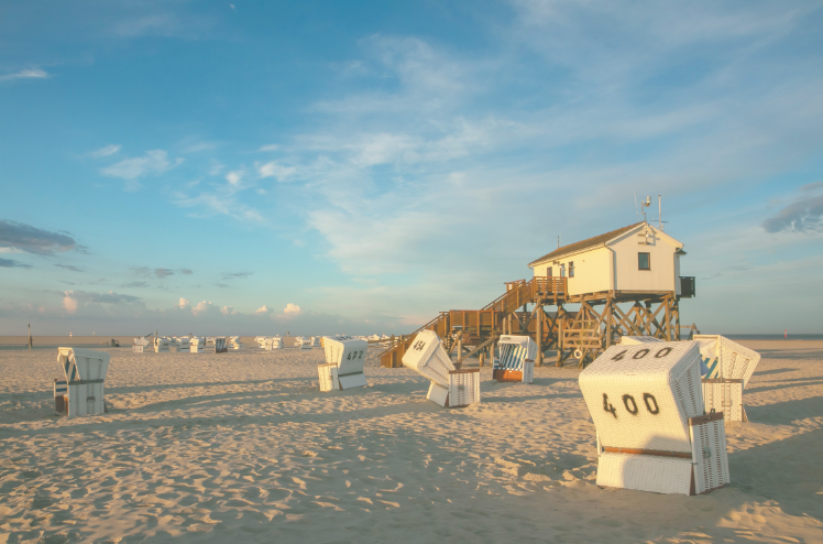 Holsteiner Winterausstellung