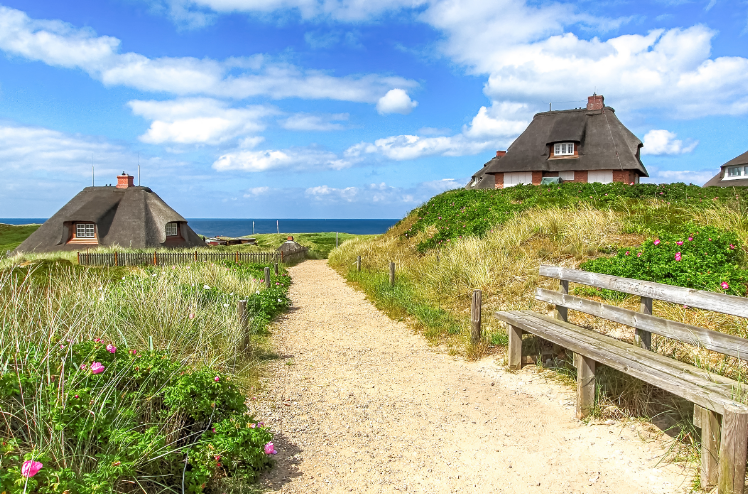 Holsteiner Winterausstellung