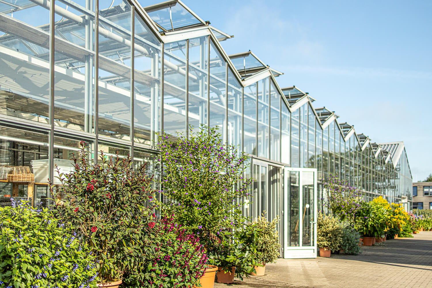 Florum Schleswig-Holstein