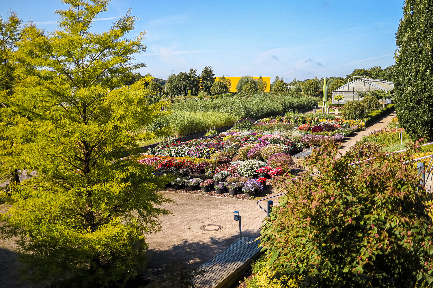 Fachmesse für Baumschule Pinneberg