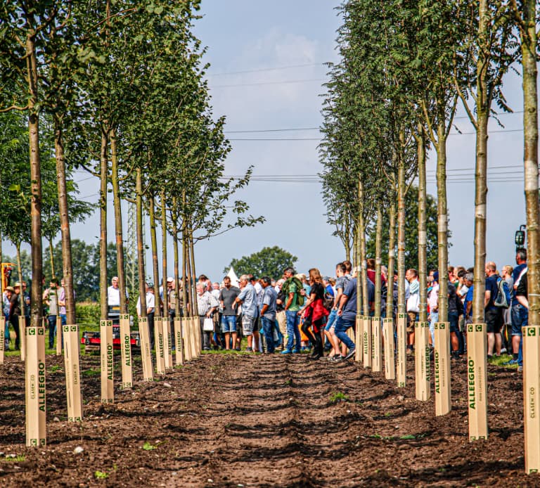 Holsteiner Winterausstellung