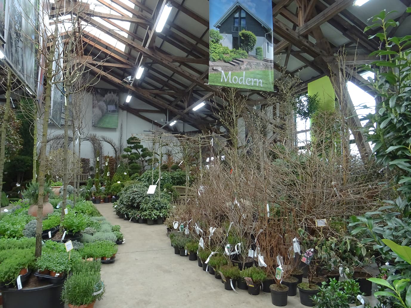 Horst Bradfisch Baumschulen