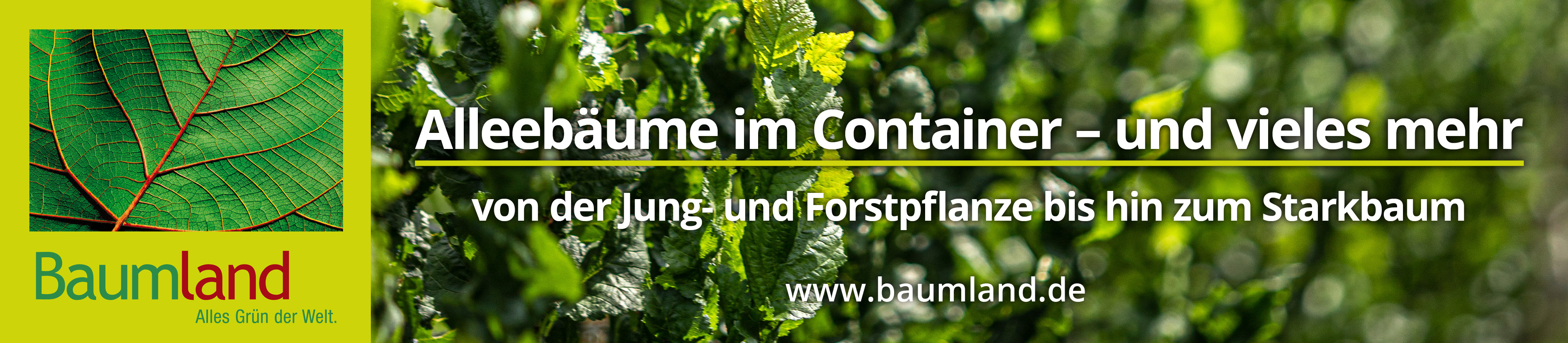 Baumland_Ad_1920x420px.jpg
